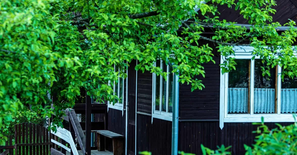 A tree partially obscures a dark-sided unit, as a small bench sits on the patio near the front door.
